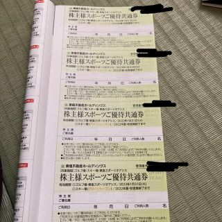 東急不動産スポーツご優待共通券 株主優待 たんばらラベンダー パーク(遊園地/テーマパーク)