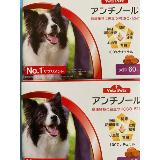 犬用アンチノール60粒2箱セット