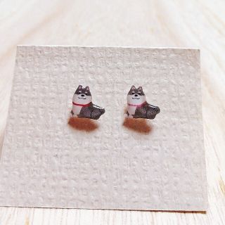 No.1811  黒柴のピアス☆(ピアス)