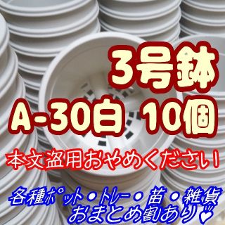 プラ鉢3号鉢【A-30】10個 スリット鉢 丸 プレステラ 多肉植物(プランター)