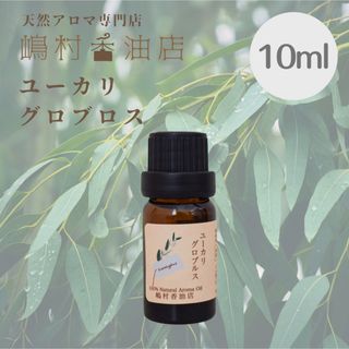 ユーカリ　グロブルス　10ml    アロマ用精油　エッセンシャルオイル(エッセンシャルオイル（精油）)