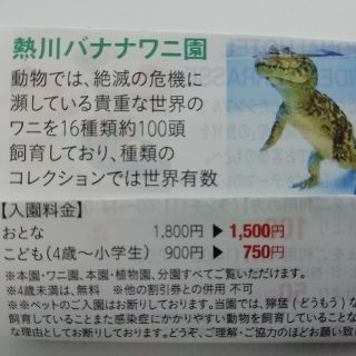 熱川バナナワニ園大人　1800円を1500円　何名でも割引　人数制限無し(遊園地/テーマパーク)