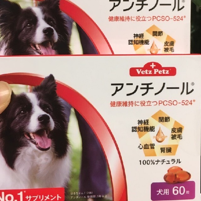 犬用アンチノール 60粒 2箱