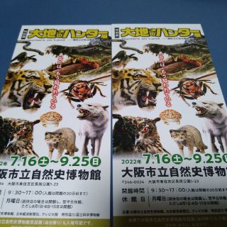 大地のハンター展　招待券2枚セット　大阪市立自然史博物館(美術館/博物館)