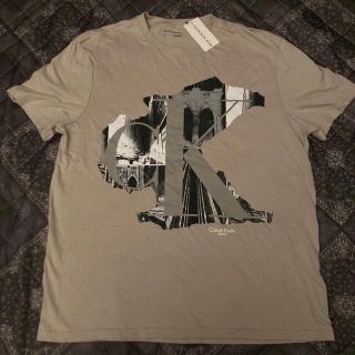 カルバンクライン(Calvin Klein)の新品レア Calvin Klein Tシャツ L カルバンクライン ベージュ(Tシャツ/カットソー(半袖/袖なし))