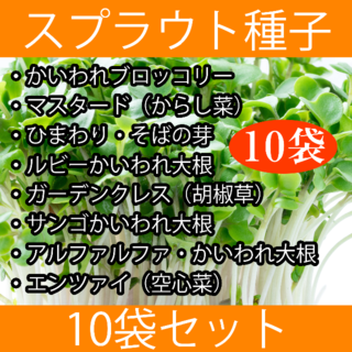 スプラウト種子まとめ買い10袋セット(野菜)
