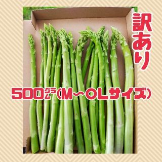 訳ありグリーンアスパラガス　500㌘(野菜)