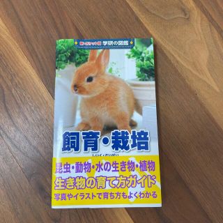 飼育・栽培 増補改訂版(絵本/児童書)