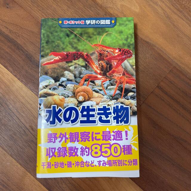 学研(ガッケン)の水の生き物 エンタメ/ホビーの本(絵本/児童書)の商品写真