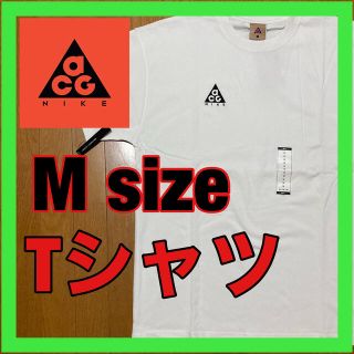 ナイキ(NIKE)のナイキ　Tシャツ　ACG(Tシャツ/カットソー(半袖/袖なし))