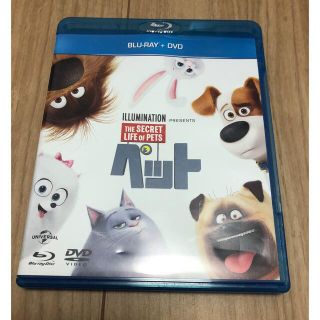 Blu-ray+DVD ペット(アニメ)