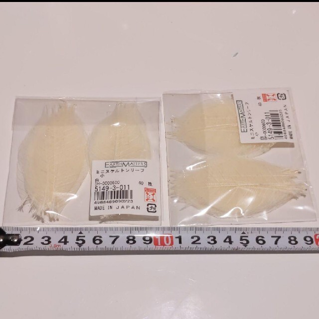春の新作シューズ満載 ミニスケルトンリーフプリザーブドフラワー