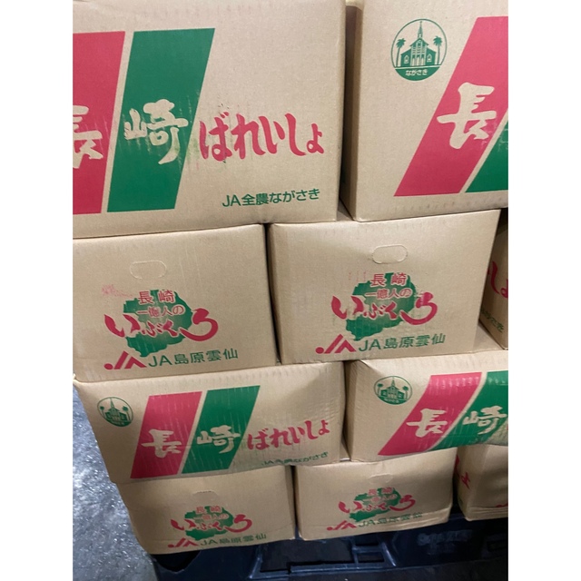 長崎県産地のじゃがいも10キロ送料込み 食品/飲料/酒の食品(野菜)の商品写真