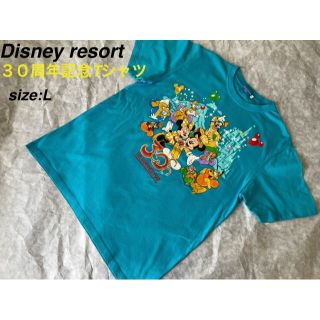 ディズニー(Disney)のDisney resort 30周年　Tシャツ　L(Tシャツ/カットソー(半袖/袖なし))