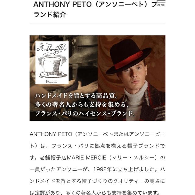 Anthony Peto アンソニーピートu3000ストローハット 商品の状態