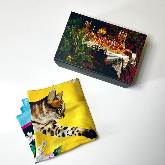 Dolce&Gabbana猫柄 スカーフ 新品 70x70 ドルガバ 【メール便送料無料