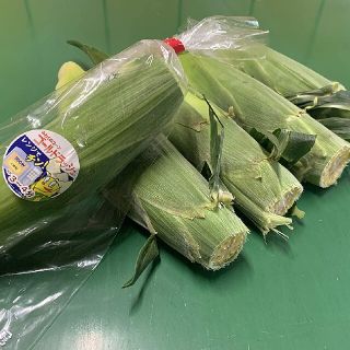 訳あり10本★味は同じ！生でも食べられるフルーツとうもろこし(野菜)