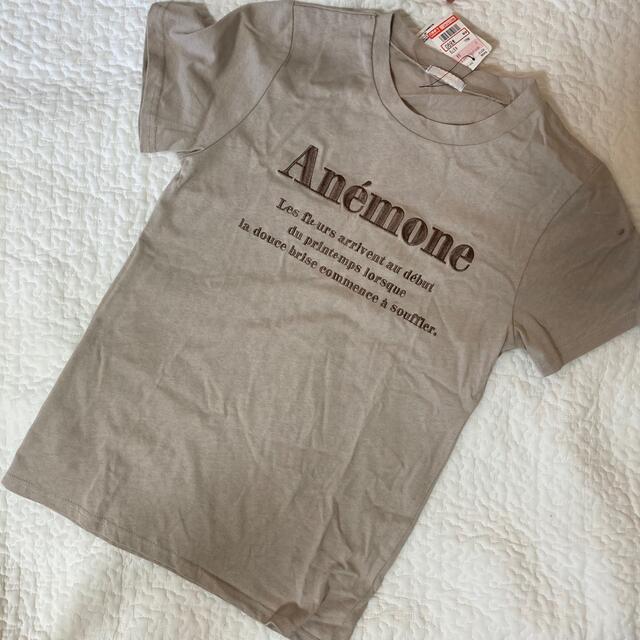 Ane Mone(アネモネ)のAnemone アネモネ　半袖　Tシャツ レディースのトップス(Tシャツ(半袖/袖なし))の商品写真