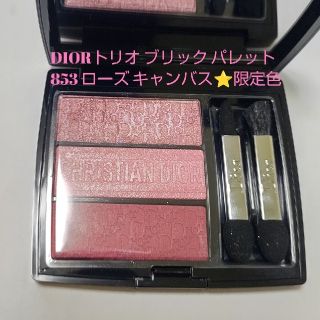 ディオール(Dior)のDIORトリオ ブリック パレット853 ローズ キャンバス(アイシャドウ)