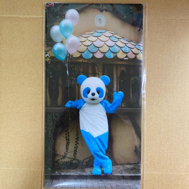 吉沢亮 マスクケース エンタメ/ホビーのタレントグッズ(男性タレント)の商品写真