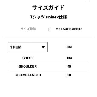 Syd着用!sacai★SADE T-Shirt ホワイト サイズ1 シャーデー 大阪売れ済 x サイズ0 SACAI SADE サカイ シャーデー Tシャツ 白 新品 Tシャツ/カットソー(半袖/袖なし)