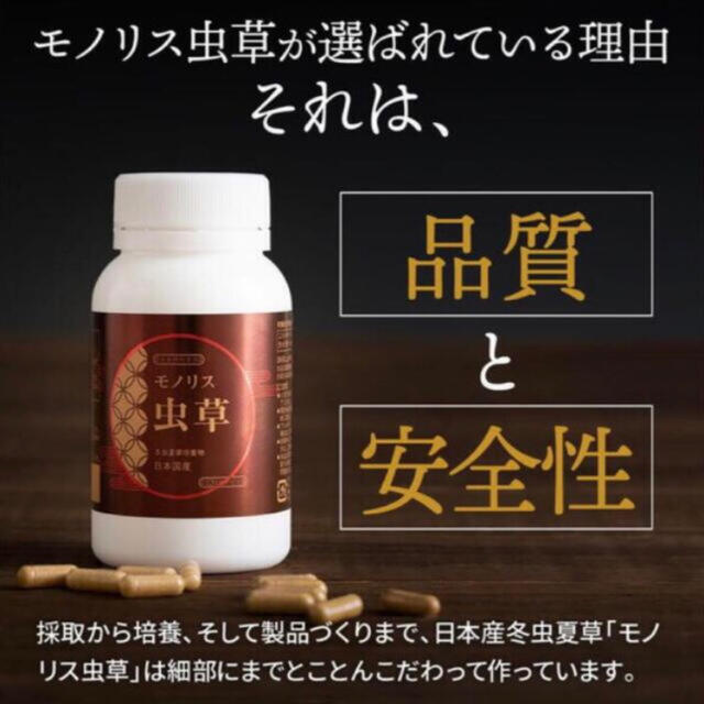 【免疫力UP‼︎】モノリス虫草 (冬虫夏草) サプリメント 食品/飲料/酒の健康食品(その他)の商品写真