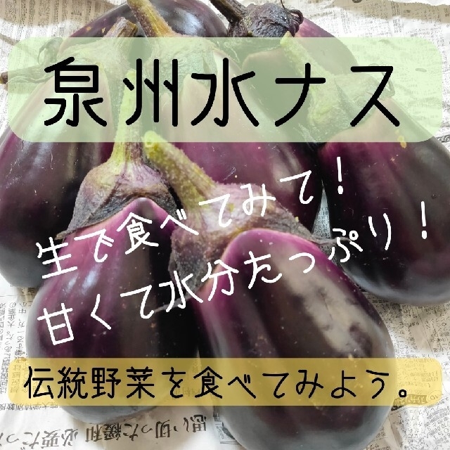 ゆら様専用夏野菜の詰め合わせ80サイズ ZQDJElNiD5 - kuyopipeline.com