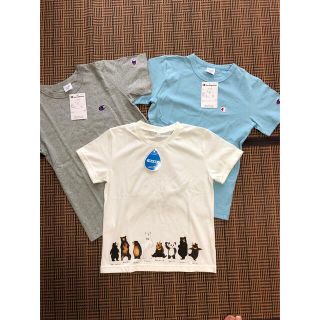 チャンピオン(Champion)の新品　チャンピオン　2枚セット　半袖　Tシャツ　おまけ付きキッズ　140(Tシャツ/カットソー)