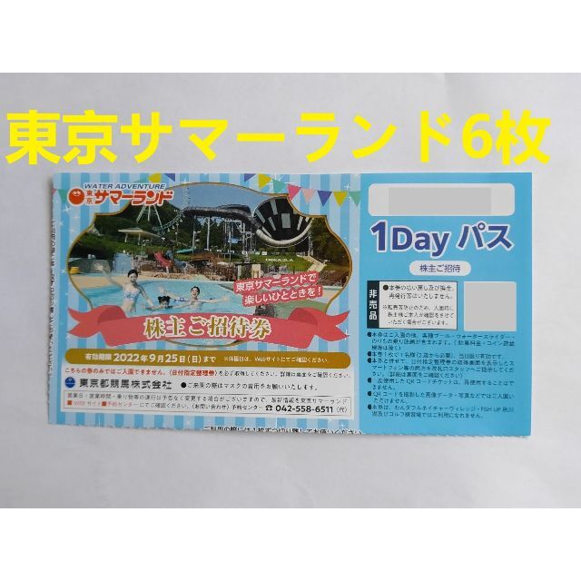 東京サマーランド 株主ご招待券 6枚 東京サマーランド 株主ご招待券 6枚