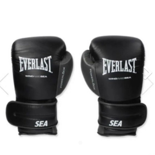 EVERLAST WDS Training Glove Black グローブ