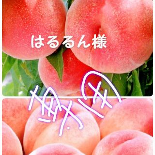 🍑はるるん様専用🍑平隠ひらお白桃🍑(フルーツ)