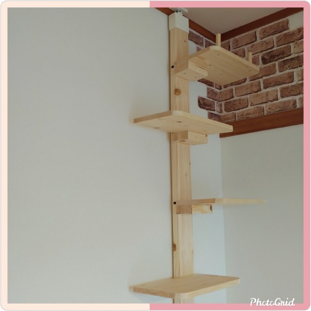猫　吊橋　✨　吊り橋　木製ハンドメイド　ステップ　ウォーク その他のペット用品(猫)の商品写真