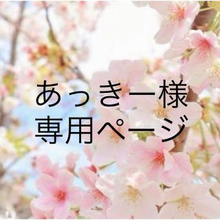 あっきー様 専用ページ www.pegasusforkids.com