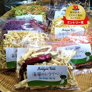 栄養・甘味・旨味が凝縮！新鮮カラフル野菜で作った海風のドライベジ　オリジナルレシ(乾物)