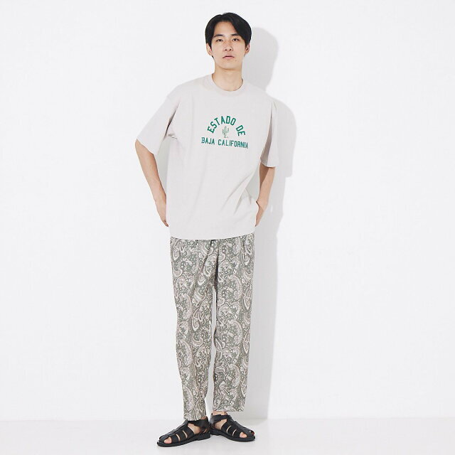 ABAHOUSE(アバハウス)の【ベージュ】サボテンカレッジロゴ Tシャツ メンズのトップス(Tシャツ/カットソー(半袖/袖なし))の商品写真