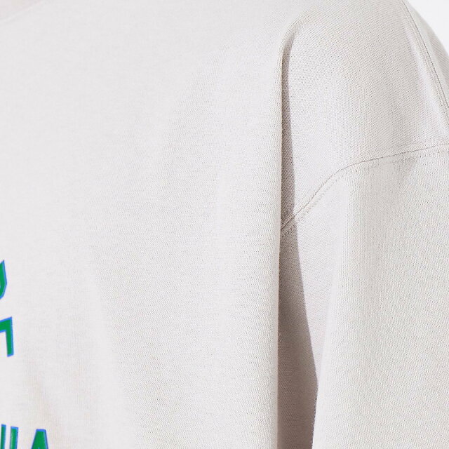 ABAHOUSE(アバハウス)の【ベージュ】サボテンカレッジロゴ Tシャツ メンズのトップス(Tシャツ/カットソー(半袖/袖なし))の商品写真