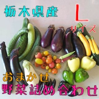 野菜おまかせ詰め合わせBOX【Ｌ】(野菜)