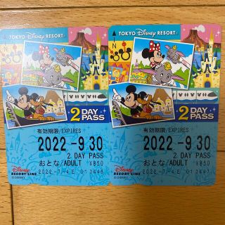 ディズニー(Disney)の未使用　ディズニーリゾートライン　2 day pass(遊園地/テーマパーク)