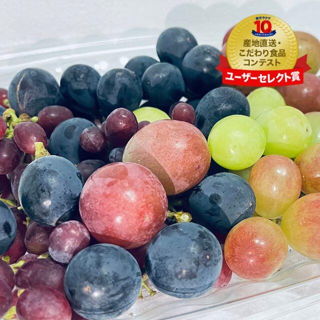 シャインマスカット入りぶどうの宝石5品種バラエティーパック(3人分620g) 食品/飲料/酒の食品(フルーツ)の商品写真