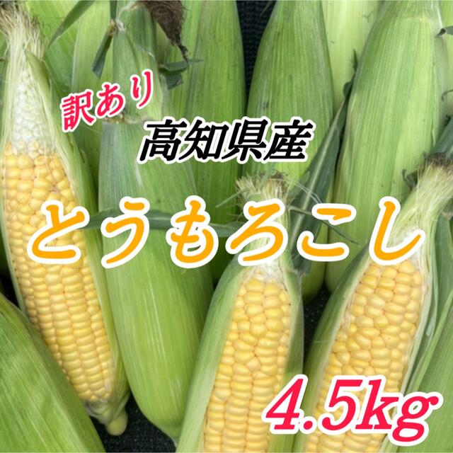 訳あり とうもろこし 4.5キロ 食品/飲料/酒の食品(野菜)の商品写真