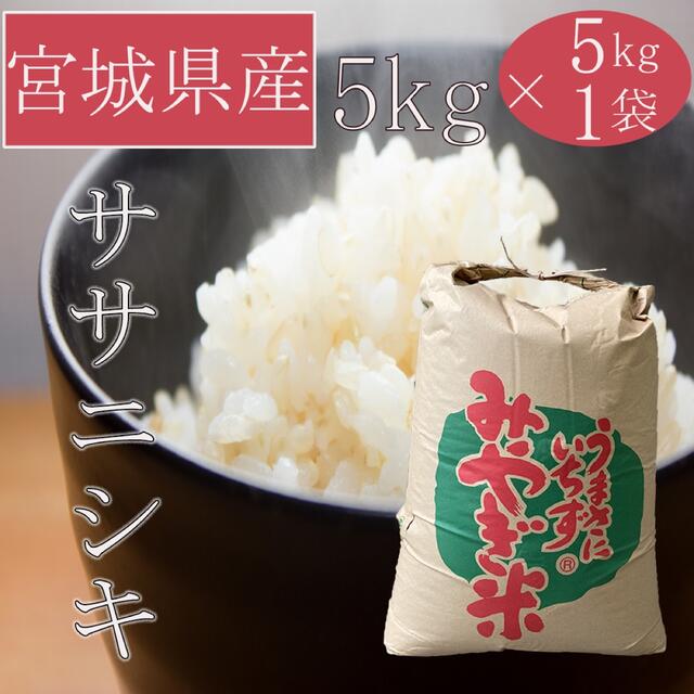 宮城県産ササニシキ5キロ 5キロ×1袋 白米 精米工場直送 昔ながらのお米