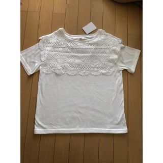 チャオパニック(Ciaopanic)の【新品】チャオパニック　Tシャツ  カットソー(Tシャツ(半袖/袖なし))