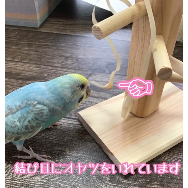 インコ　竹製　おやつ入れ　おもちゃ入れ　餌ケース