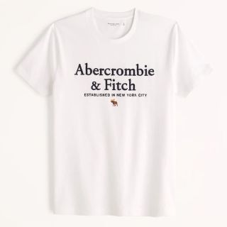 アバクロンビーアンドフィッチ(Abercrombie&Fitch)のロゴ刺繍Tシャツ(Tシャツ/カットソー(半袖/袖なし))