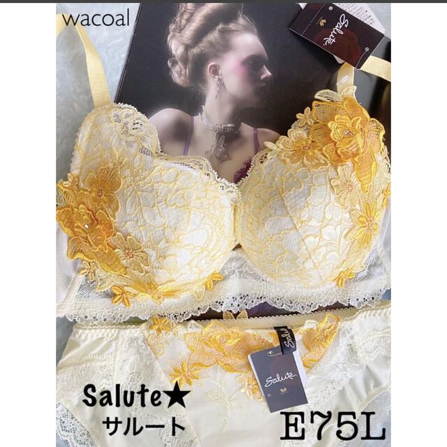 新品タグ付】wacoalサルート☆星座のきらめき☆VIVA LINE・E75L-