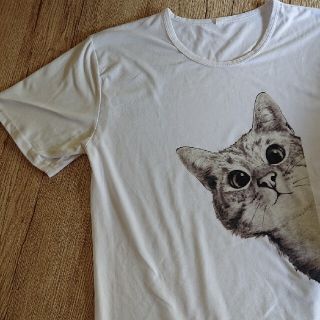 メンズ Mサイズ 猫(Tシャツ/カットソー(半袖/袖なし))