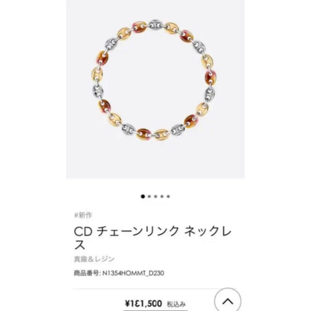 Dior(ディオール)の2021年モデル　DIOR ネックレス　メンズ メンズのアクセサリー(ネックレス)の商品写真