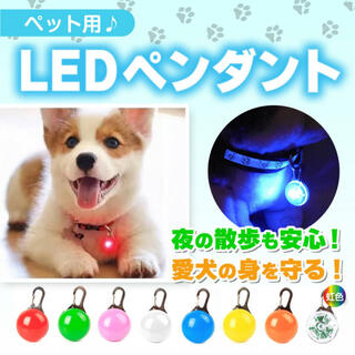 犬 散歩 ライト 首輪 LED 光る首輪 犬用 レインボー 猫 防水 小型犬(犬)
