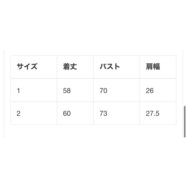 CLANE クラネ　スクエアスリーブニットトップス KIWI