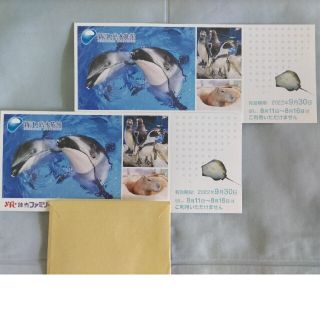 新江ノ島水族館御招待券 ２枚(水族館)